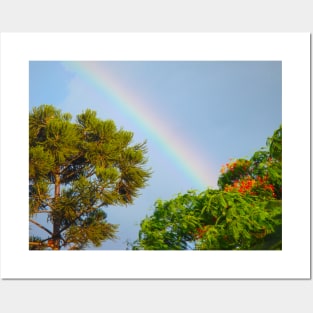 Beautiful Rainbow with Trees | Blue Sky | Photography Posters and Art